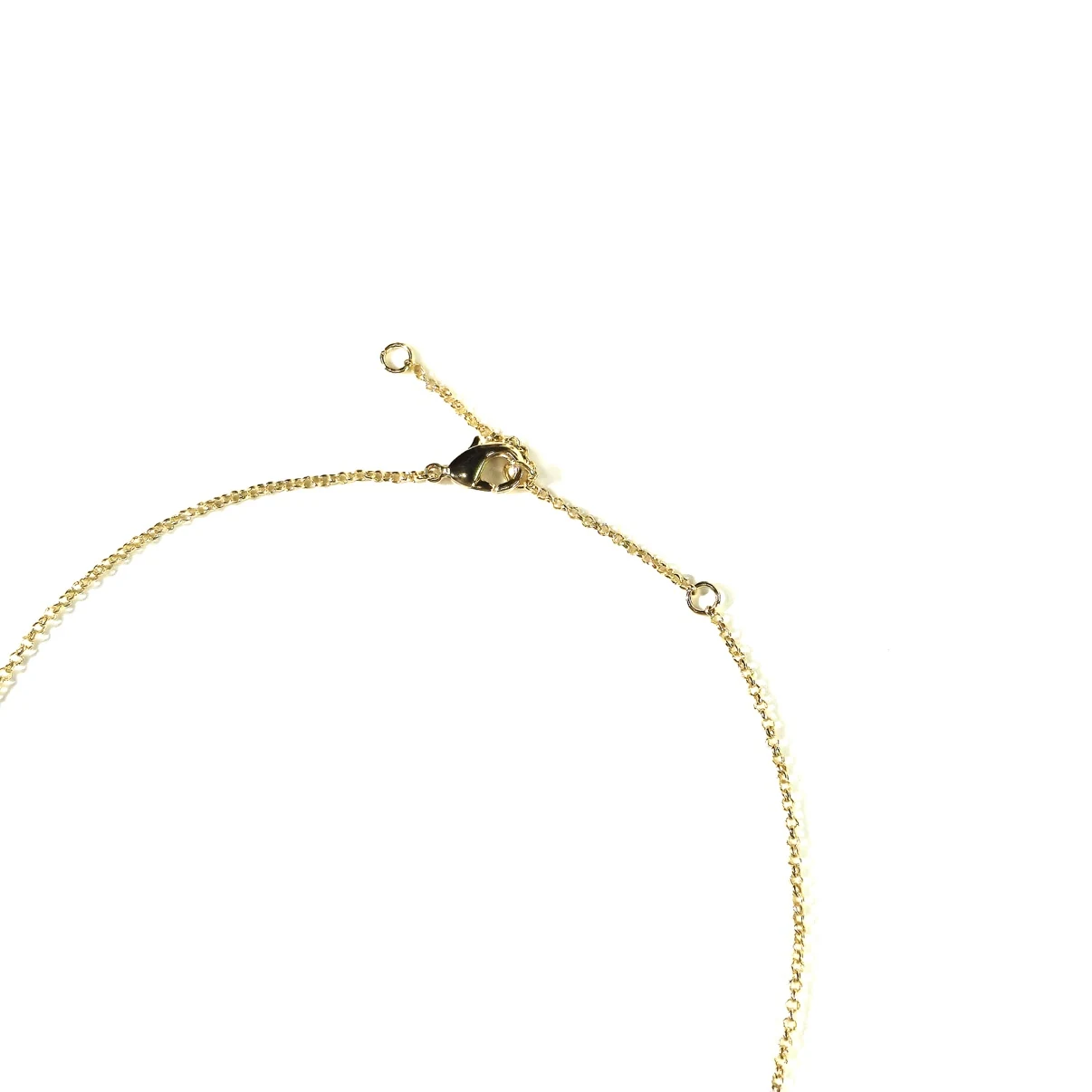 Lobster clasp and extender chain detail